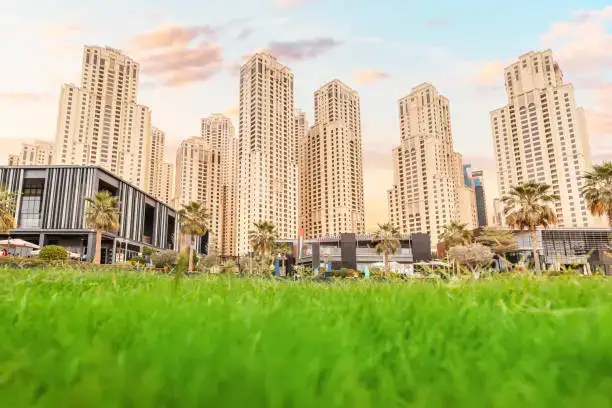 Dubai has long been synonymous with opulence and extravagance, but in recent years, the city has taken significant strides toward sustainability.